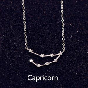 Sterling Silver Diamond Zodiac Necklace--Capricorn